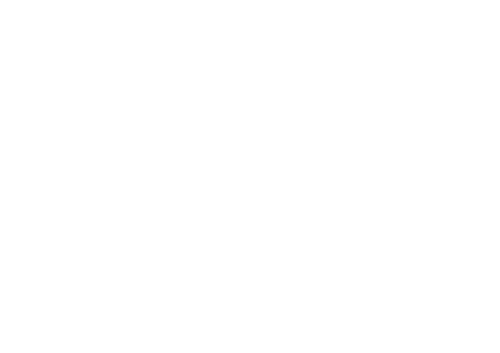 Homepage Footer